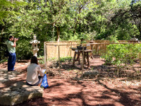 Zilker Garden Festival 2016 Day2