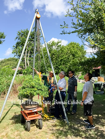 TTSBE Foster Day 07-17-2016