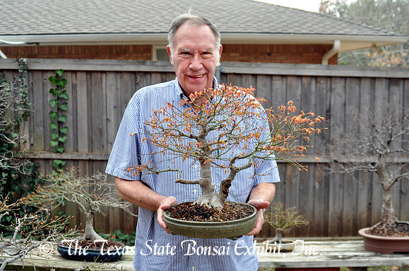 Acer palmatum 5 (2011 2-27) Neal Hearn Collection donation (8)